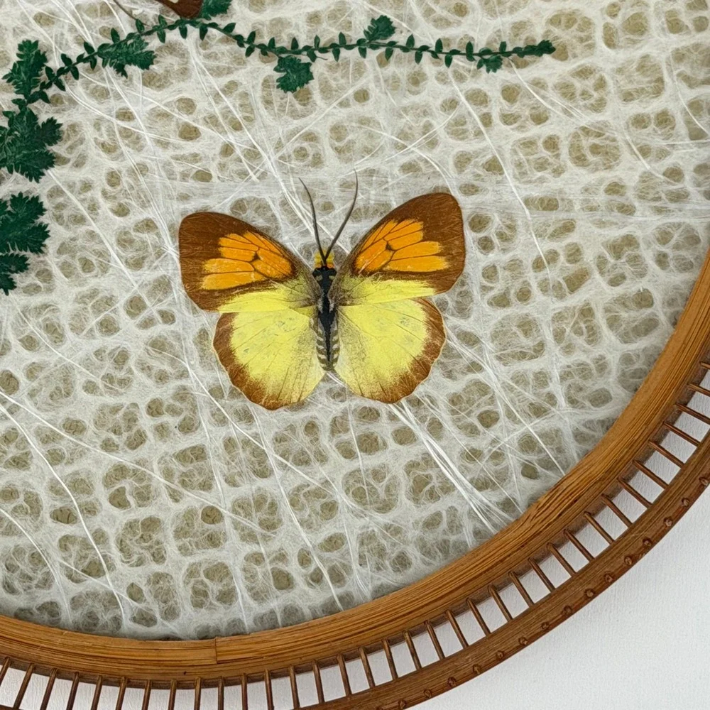 Vintage Tray Jetline‎ Japan Rattan Bamboo Lucite Butterfly Floral Boho Cottage